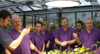 Men and Women in Purple Having Discussion in Greenhouse